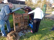 Opravujeme hmyzí hotel